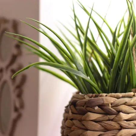 Janela Mar Garden شقة