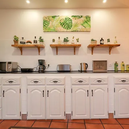 Apartment Janela Mar Garden Lagoa (Azores)