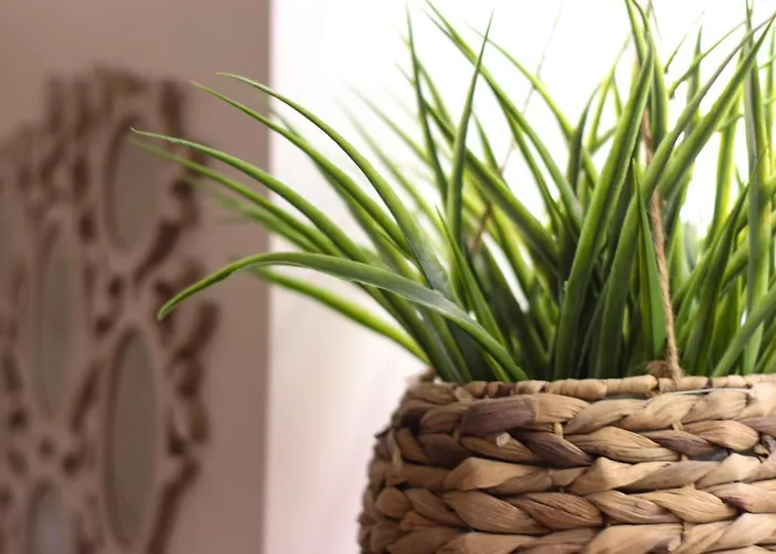 Janela Mar Garden شقة